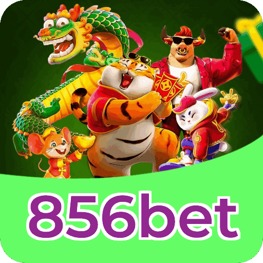 Instalar APK 856bet